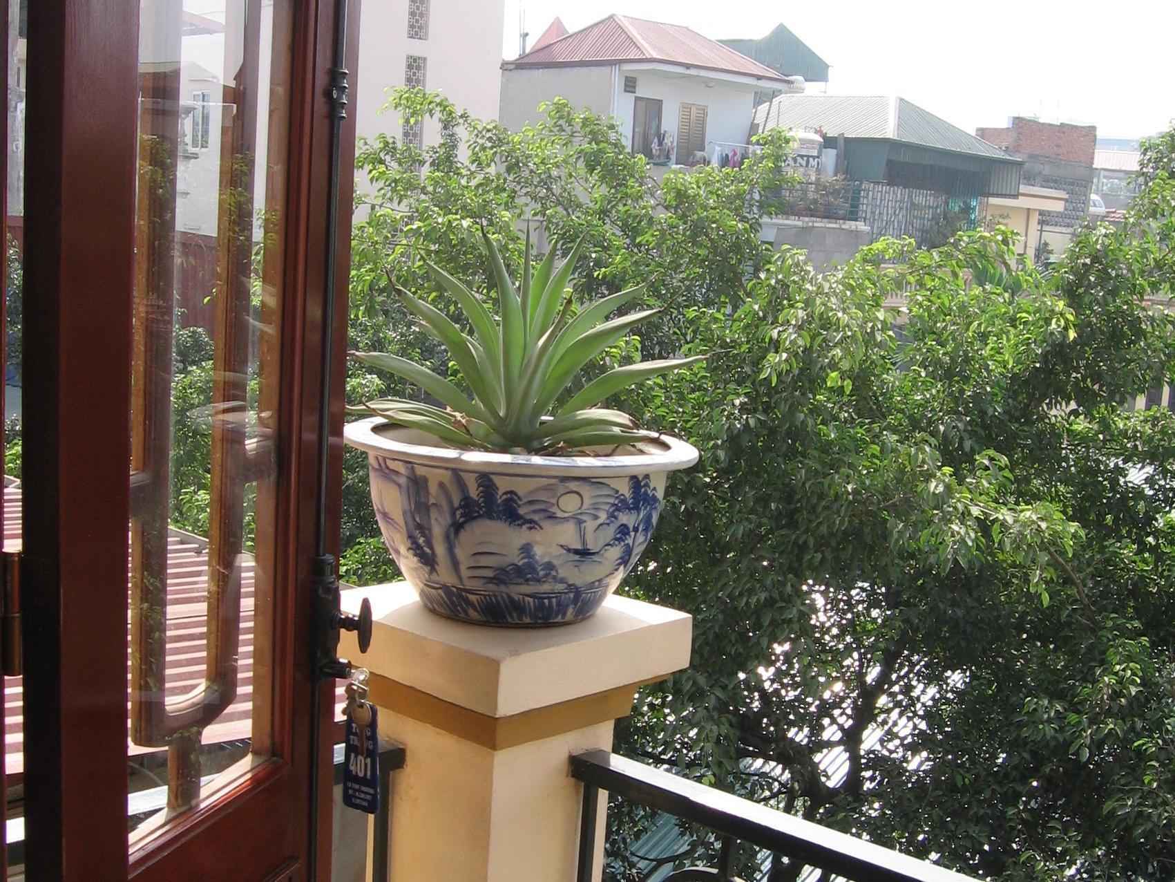 Tung Trang Hotel Hanoi Dış mekan fotoğraf